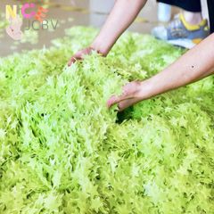 Bộ 100 Ngôi Sao Dạ Quang Dán Tường - Trang Trí Phát Sáng Cho Phòng Ngủ Trẻ Em - Giúp Tạo Không Gian Huyền Ảo Và An Toàn