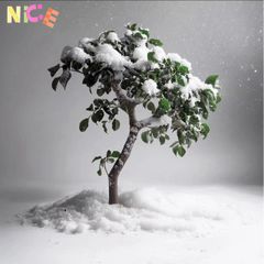 Tuyết Nhân Tạo Trang Trí Noel 10g - Tạo Hình Người Tuyết Sống Động, Hiệu Ứng Tuyết Rơi Đẹp Mắt cho Mùa Giáng Sinh
