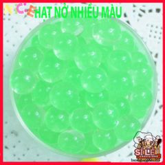 Hạt giống cây thủy canh nở tinh thể - Giải pháp độc đáo cho trồng cây và chăm sóc slime tận nhà