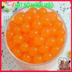 Hạt giống cây thủy canh nở tinh thể - Giải pháp độc đáo cho trồng cây và chăm sóc slime tận nhà