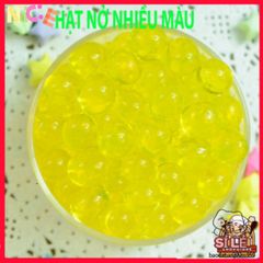 Hạt giống cây thủy canh nở tinh thể - Giải pháp độc đáo cho trồng cây và chăm sóc slime tận nhà