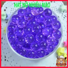 Hạt giống cây thủy canh nở tinh thể - Giải pháp độc đáo cho trồng cây và chăm sóc slime tận nhà