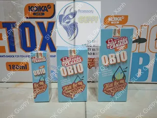 Vi Sinh KOIKA OBIO (Phiên bản tết 2026) - Giúp Làm Sạch Nước Bể Cá, Tăng Hệ Miễn Dịch và Tiêu Hóa Cho Cá Cảnh