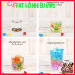 Vỉ 24 Gói Hạt Nở Tinh Thể - Trang Trí Cây Cảnh, Tạo Tiểu Cảnh Đẹp, Thân Thiện Môi Trường, Ý Tưởng DIY Hấp Dẫn