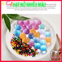 Vỉ 24 Gói Hạt Nở Tinh Thể - Trang Trí Cây Cảnh, Tạo Tiểu Cảnh Đẹp, Thân Thiện Môi Trường, Ý Tưởng DIY Hấp Dẫn