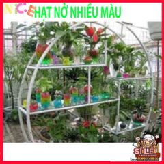 Hạt Nở Tinh Thể 20G - Trang Trí Cây Thủy Sinh, Hạt Trân Châu Không Đất, Màu Sắc Rực Rỡ Cho Không Gian Sống
