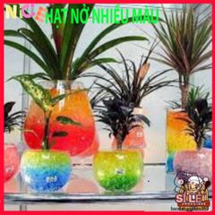 Hạt Nở Tinh Thể 20G - Trang Trí Cây Thủy Sinh, Hạt Trân Châu Không Đất, Màu Sắc Rực Rỡ Cho Không Gian Sống