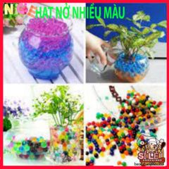 Hạt Nở Tinh Thể 20G - Trang Trí Cây Thủy Sinh, Hạt Trân Châu Không Đất, Màu Sắc Rực Rỡ Cho Không Gian Sống