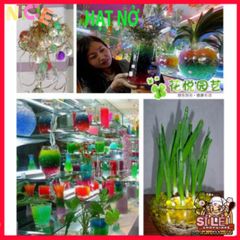 Hạt Nở Trang Trí Sáng Tạo - DIY Slime Vui Nhộn Cho Hoa, Bonsai, Tiểu Cảnh - Trang Trí Không Gian Sống Màu Sắc