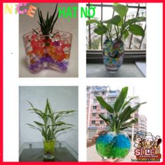 Hạt Nở Trang Trí Sáng Tạo - DIY Slime Vui Nhộn Cho Hoa, Bonsai, Tiểu Cảnh - Trang Trí Không Gian Sống Màu Sắc