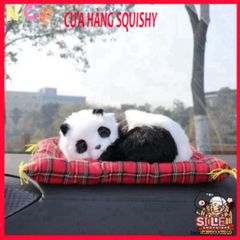 Thú Bông Ngựa Nâu Mẹ Con với Lõi Than Hoạt Tính - Phụ Kiện Trang Trí Xe An Toàn Khử Mùi Hiệu Quả cho Thú Cưng