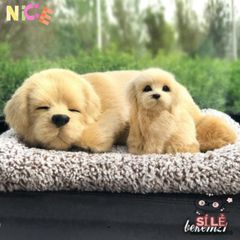 Thú Nhồi Bông Cún Vàng Khử Mùi Than Hoạt Tính - Phụ Kiện Trang Trí Ô Tô và Không Gian Sống Dễ Thương, Lọc Không Khí Hiệu Quả