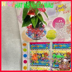Bộ 24 Gói Hạt Nở Độc Đáo Trang Trí Cây Cảnh - Tạo Không Gian Sống Xanh Mát, Dễ Sử Dụng và Tiện Lợi