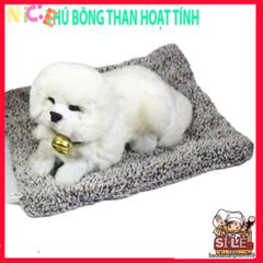 Thú Cưng Trang Trí Than Hoạt Tính - Giải Pháp Khử Mùi, Hút Ẩm Ô Tô, Chống Bức Xạ, Thiết Kế Hiện Đại, Sức Khỏe & Thư Giãn