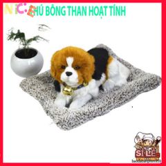 Thú Cưng Trang Trí Than Hoạt Tính - Giải Pháp Khử Mùi, Hút Ẩm Ô Tô, Chống Bức Xạ, Thiết Kế Hiện Đại, Sức Khỏe & Thư Giãn