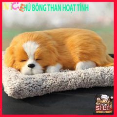 Gấu Bông Kháng Mùi Lọc Không Khí - Thú Bông Trang Trí Ô Tô & Bàn Làm Việc Dễ Thương, Giải Pháp Khử Mùi Hiệu Quả