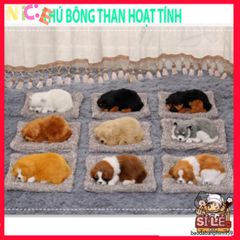Gấu Bông Kháng Mùi Lọc Không Khí - Thú Bông Trang Trí Ô Tô & Bàn Làm Việc Dễ Thương, Giải Pháp Khử Mùi Hiệu Quả