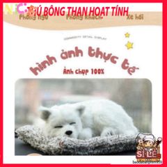 Thú Bông Khử Mùi Than Hoạt Tính Hình Thú Cưng - Đồ Trang Trí Ô Tô Dễ Thương cho PET - Bảo Vệ Sức Khỏe Gia Đình