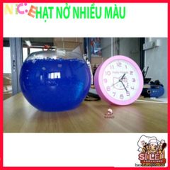 Bộ 4000 Hạt Nở Đầy Màu Sắc – Công Cụ Trồng Cây Trong Nhà và Phụ Kiện Slime Mới Lạ.