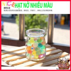 Hạt Pha Lê Nở Thủy Sinh - Trang Trí Không Gian Sống Sáng Tạo, Dễ Dàng Sử Dụng, Giải Pháp Trồng Cây Không Cần Đất