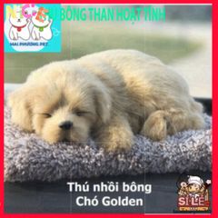 Thú Bông Khử Mùi Than Hoạt Tính - Bạn Nhồi Bông Lọc Không Khí Đáng Yêu Cho Ô Tô và Không Gian Sống