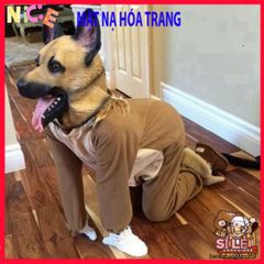 Mặt Nạ Halloween Hình Đầu Cá Xanh - Phụ Kiện Hóa Trang Cosplay Độc Đáo, Silicone An Toàn Cho Bữa Tiệc và Sự Kiện Nhập Vai