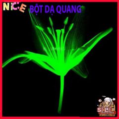 Bột Dạ Quang Phát Sáng Trong Đêm 10g - Nguyên Liệu An Toàn Cho Nghệ Thuật Trang Trí Và Sáng Tạo Không Gian