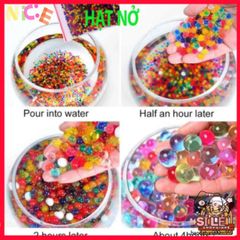 Bộ 1000 Hạt Nở Thủy Tinh Màu Sắc - Giúp Cây Cảnh Tươi Tắn, Giữ Ẩm và Trang Trí Không Gian Sống Sinh Động