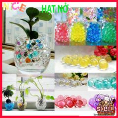 Bộ 1000 Hạt Nở Thủy Tinh Màu Sắc - Giúp Cây Cảnh Tươi Tắn, Giữ Ẩm và Trang Trí Không Gian Sống Sinh Động