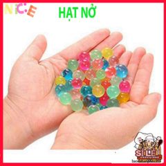 Bộ 1000 Hạt Nở Thủy Tinh Màu Sắc - Giúp Cây Cảnh Tươi Tắn, Giữ Ẩm và Trang Trí Không Gian Sống Sinh Động
