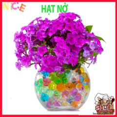 Bộ 1000 Hạt Nở Thủy Tinh Màu Sắc - Giúp Cây Cảnh Tươi Tắn, Giữ Ẩm và Trang Trí Không Gian Sống Sinh Động