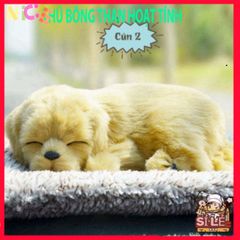 Thú Bông Khử Mùi Chó Than Hoạt Tính - Gấu Dễ Thương Trang Trí Xe Hơi và Góc Làm Việc - Giải Pháp Không Gian Trong Lành