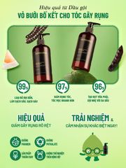 Dầu Gội Vỏ Bưởi & Bồ Kết 300ml - Phục Hồi Tóc, Giảm Rụng Tóc, Chăm Sóc Tóc Tự Nhiên Herbario