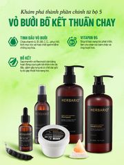 Dầu Xả Vỏ Bưởi & Bồ Kết HERBARIO 300ml - Dầu Xả Thuần Chay Cho Tóc Mềm Mượt, Bóng Khỏe, Chống Rụng Tóc