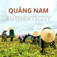 Dầu lạc ép lạnh Noom 500ML / 1.9L - 100% từ lạc hữu cơ, không tinh luyện, dầu nguyên chất, dùng chiên xào an toàn, chọn lựa cho sức khỏe