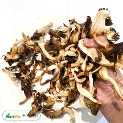 Nấm Bào Ngư Noom Khô 100% - Thực Phẩm Chay Tự Nhiên, Vị Umami Vượt Trội, Thay Thế Thịt Trong Món Ăn - Hữu Cơ Việt Nam