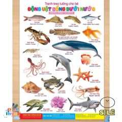 Bộ Sách Tranh Treo Tường 14 Chủ Đề Cho Bé - Khám Phá Vũ Trụ và Thế Giới - Giáo Dục Sáng Tạo 12 Trang