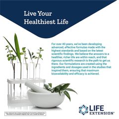 Viên Uống Vitamin K2 MK7 Life Extension - Hỗ Trợ Sức Khoẻ Xương và Tim Mạch - Hộp 90 Viên Softgel Mỹ