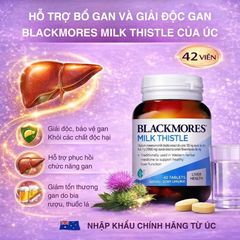 Viên uống Blackmores Milk Thistle hỗ trợ gan của Úc - Lọ 42 viên