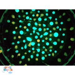Bộ 7 Hộp Bột Dạ Quang Nhiều Màu Sắc Trang Trí Độc Đáo - Vẽ Cảnh Vật Huyền Ảo, Quà Tặng Sáng Tạo