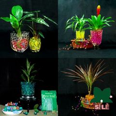 Hạt Nở Thủy Tinh - Gói 200-220 Hạt Tinh Thể Độc Đáo Cho Cây Cảnh - Trang Trí Nhà Ở, Văn Phòng, Tiệc Cưới