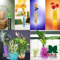 Hạt Nở Thủy Tinh - 200-220 Hạt Trân Châu Chăm Sóc Cây Cảnh, Đất Tinh Thể Tạo Độ Ẩm, Trang Trí Văn Phòng, Không Gây Hại
