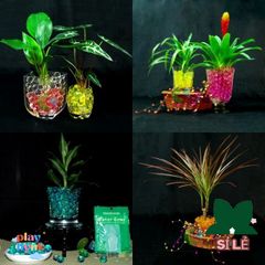Hạt Nở Thủy Tinh - 200-220 Hạt Trân Châu Chăm Sóc Cây Cảnh, Đất Tinh Thể Tạo Độ Ẩm, Trang Trí Văn Phòng, Không Gây Hại