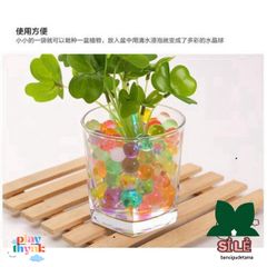 Gói 5000 Viên Hạt Nở Đa Sắc Màu - Trang Trí Nhà Cửa Độc Đáo, Tiểu Cảnh và Trồng Cây