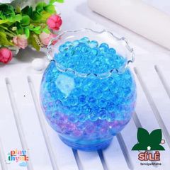 Gói 5000 Viên Hạt Nở Đa Sắc Màu - Trang Trí Nhà Cửa Độc Đáo, Tiểu Cảnh và Trồng Cây