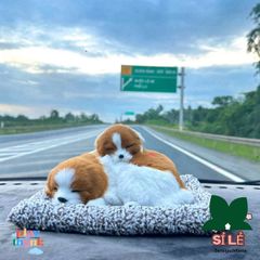 Đồ chơi thú bông than hoạt tính khử mùi cho thú cưng - Trang trí xe hơi và không gian làm việc độc đáo, dễ thương