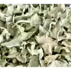 Lá Và Trái Cây Khô Dược Liệu 1kg - Lá Sung, Lá Ổi, Đu Đủ Sấy, Bưởi, Xoài - Hàng Mới 100% Giao Tận Nơi