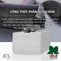 Tã Giấy Lót Chuồng Khử Mùi Cho Thú Cưng - Hoshi Pet Siêu Thấm Hút, Than Hoạt Tính, Nhiều Kích Cỡ XL, L, M, S