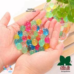 Hạt Nở Nhiều Màu 5000 Viên Trang Trí Nhà Cửa - Đem Sắc Màu Tươi Sáng Cho Không Gian Sống
