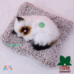 Thú Bông Hồ Ly Giả Nhiên 99% - Trang Trí Không Gian, Khử Mùi Hiệu Quả Với Lõi Than Hoạt Tính, Món Quà Đáng Yêu Cho Trẻ Em!